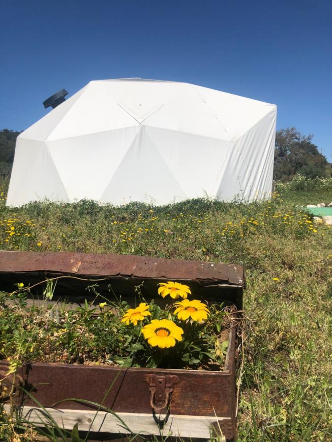 Forest Domes Setubal Exterior photo