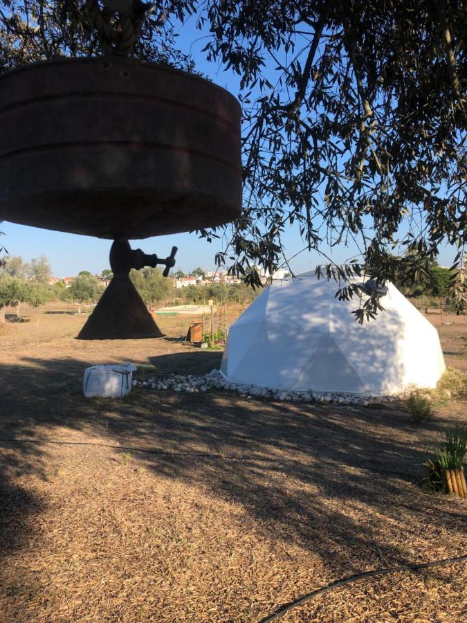 Forest Domes Setubal Exterior photo